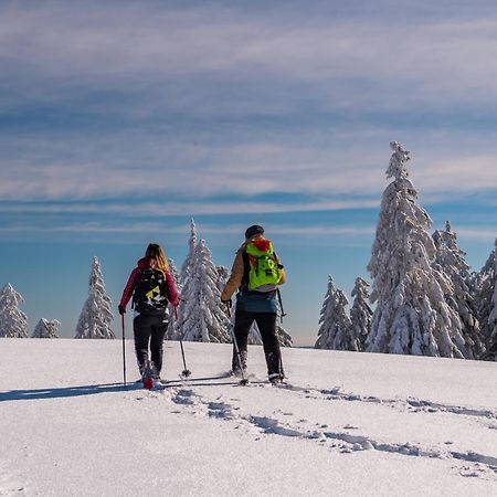 Schwarzwaldhorst Fewo 2 - Mit 4 Schlafzimmer - Todtnau, Liftverbund Feldberg Ngoại thất bức ảnh