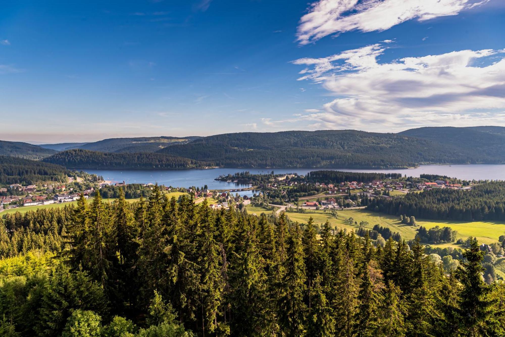 Schwarzwaldhorst Fewo 2 - Mit 4 Schlafzimmer - Todtnau, Liftverbund Feldberg Ngoại thất bức ảnh